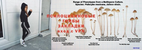трава Верея