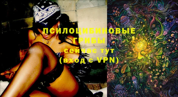 гашик Верхнеуральск